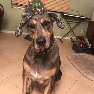 Meet your Posher, Julia